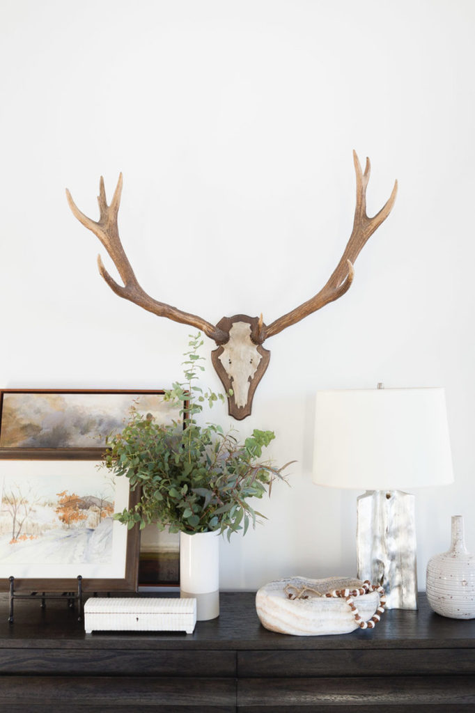 antler decor