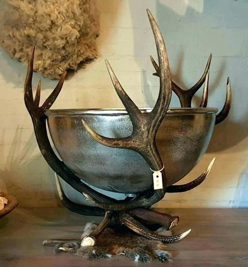 24+ Deer Antler Decor Ideas to Inspire in 2024 Houszed