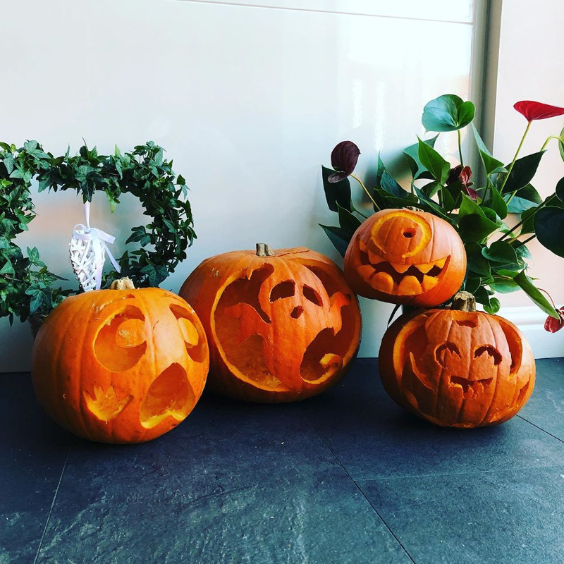 halloween pumpkin designs