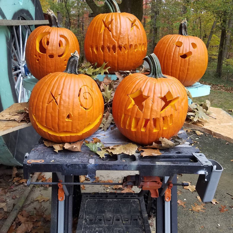 31+ Easy Halloween Pumpkin Carving Ideas That Impress in 2021