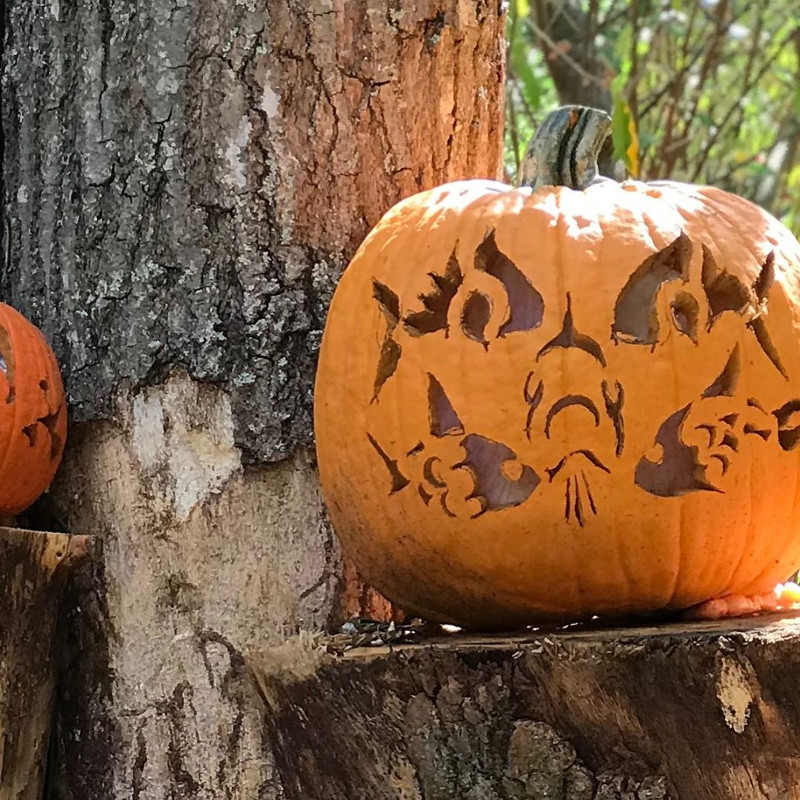 pumpkin halloween carving