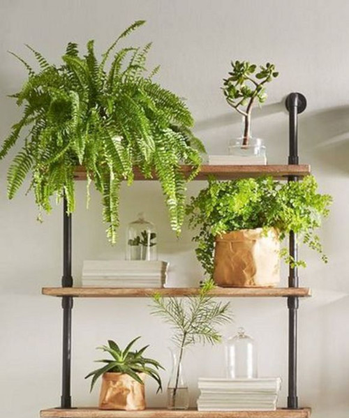 shelves ideas