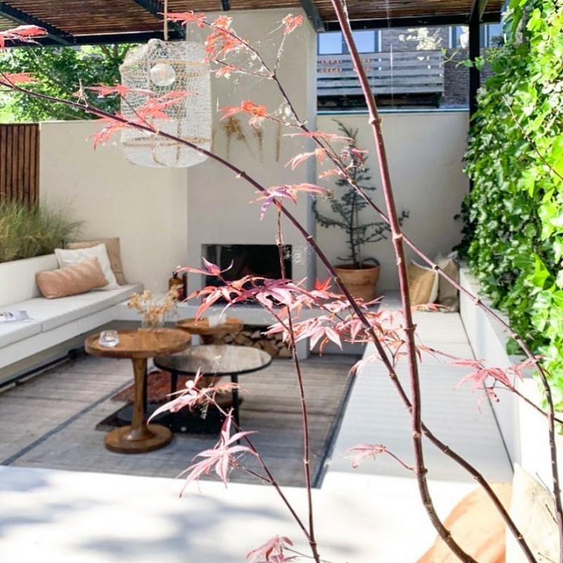 urban gardening ideas