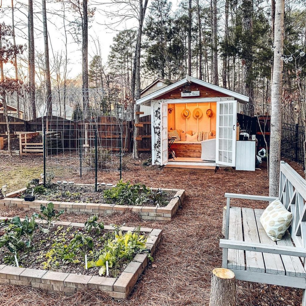 she shed garden