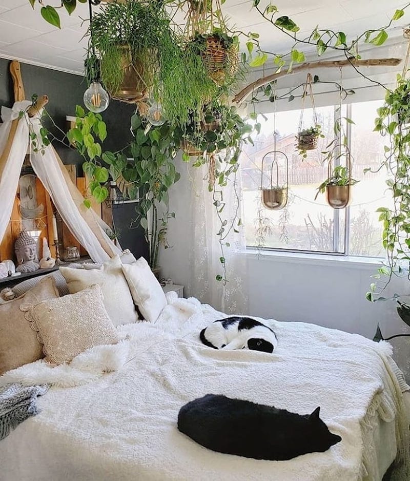 39+ Green and White Bedroom Ideas That Totally Inspire in 2024 | Houszed