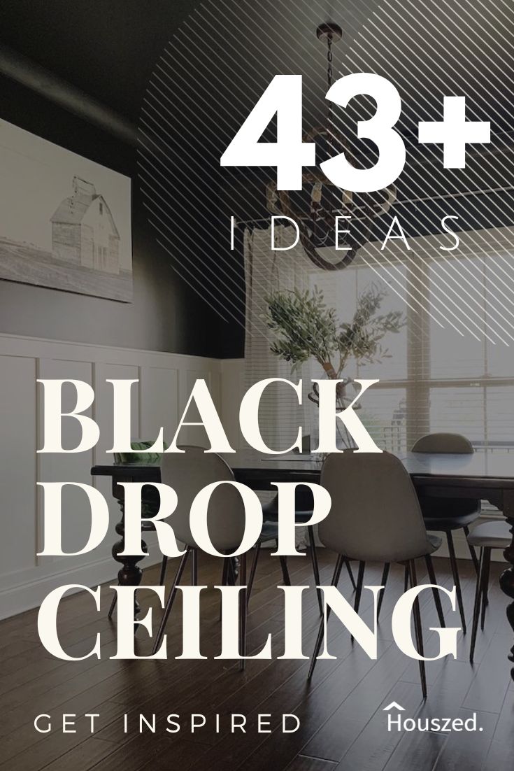 43+ Black Ceiling Ideas That Will Totally Surprise You in 2024 Houszed