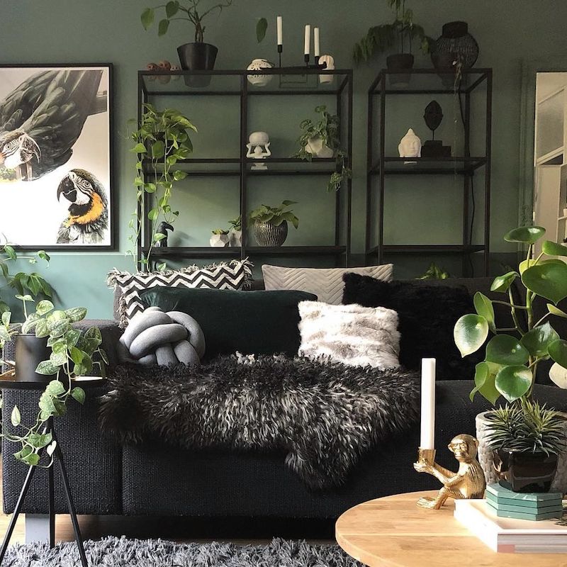 classy black sofa living room colour scheme