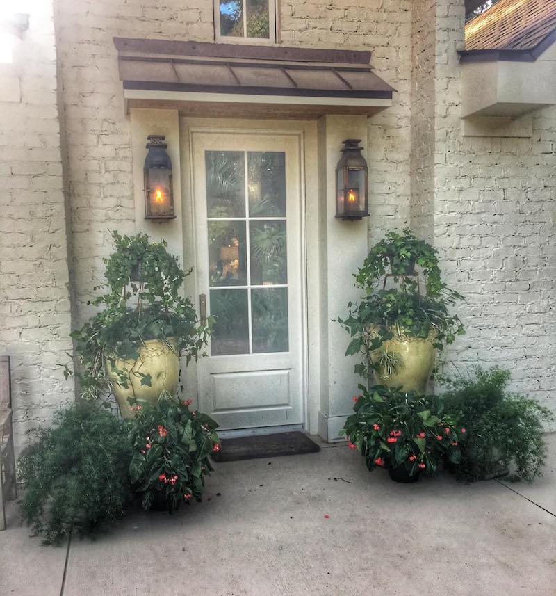 front door plants