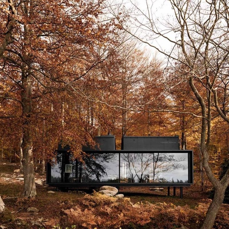 houses black modern