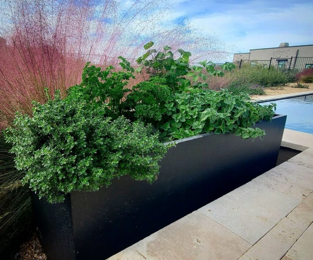 modern pool planters