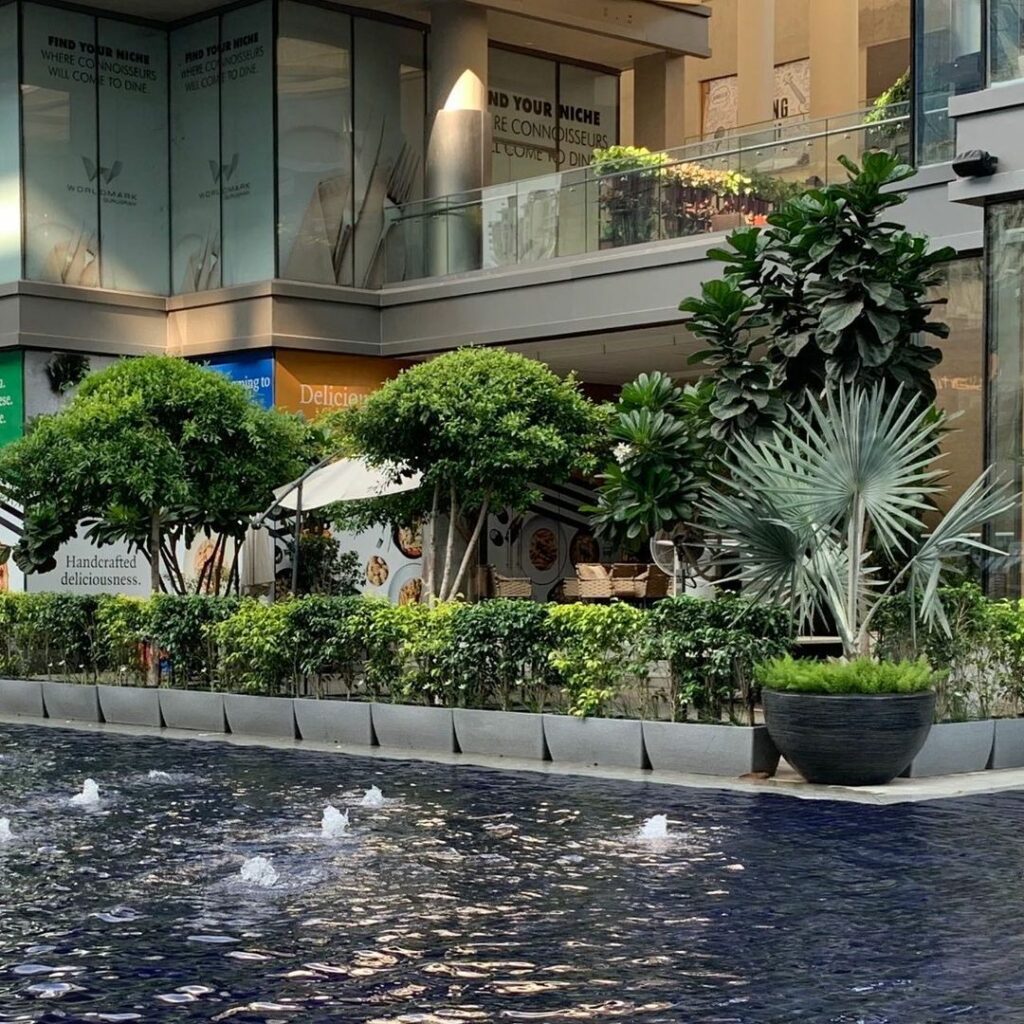 planter boxes around pool