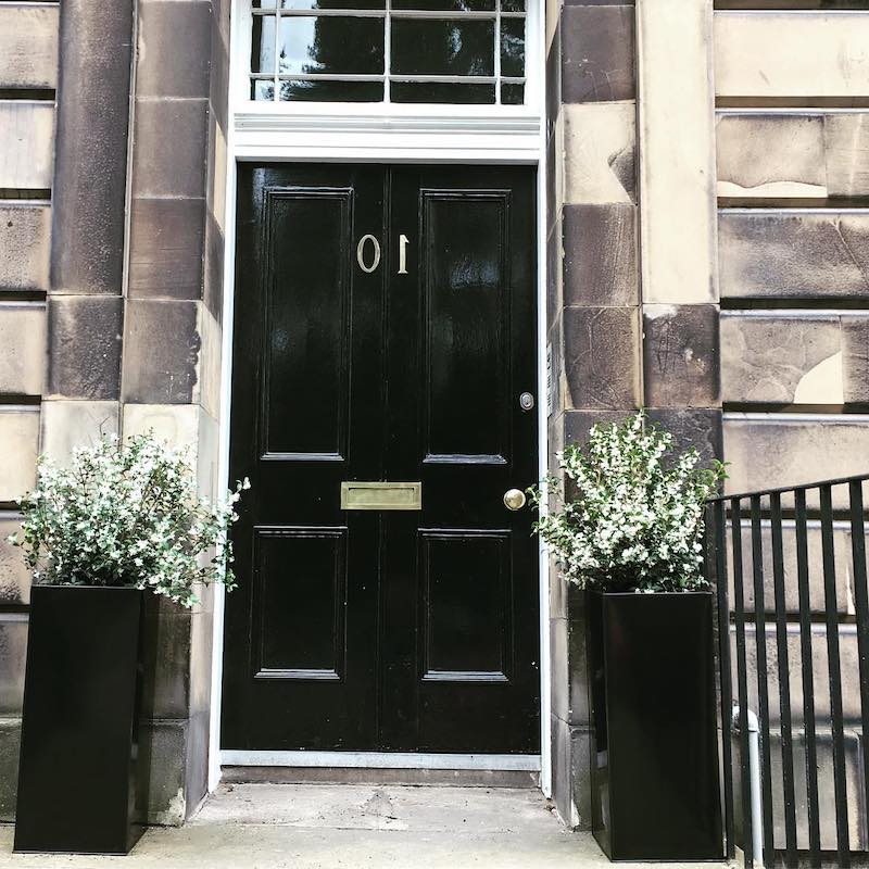 plants for front door pots