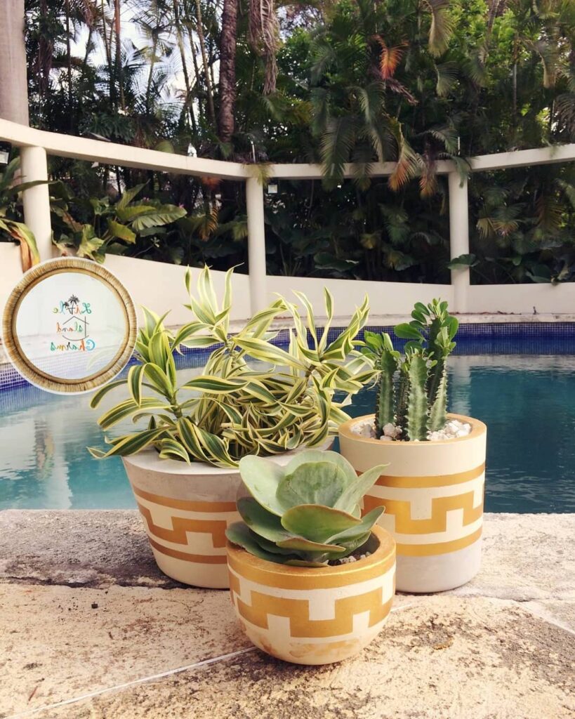 pool planter