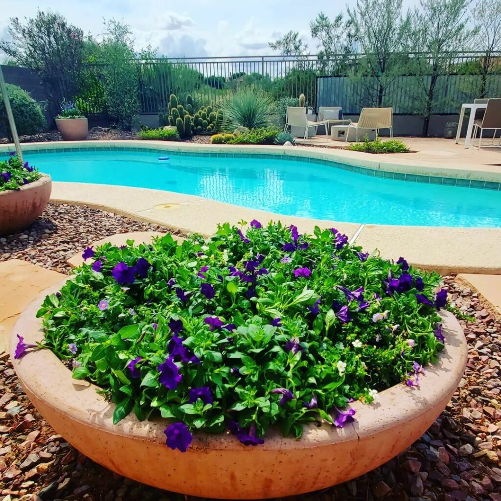 pool planter ideas