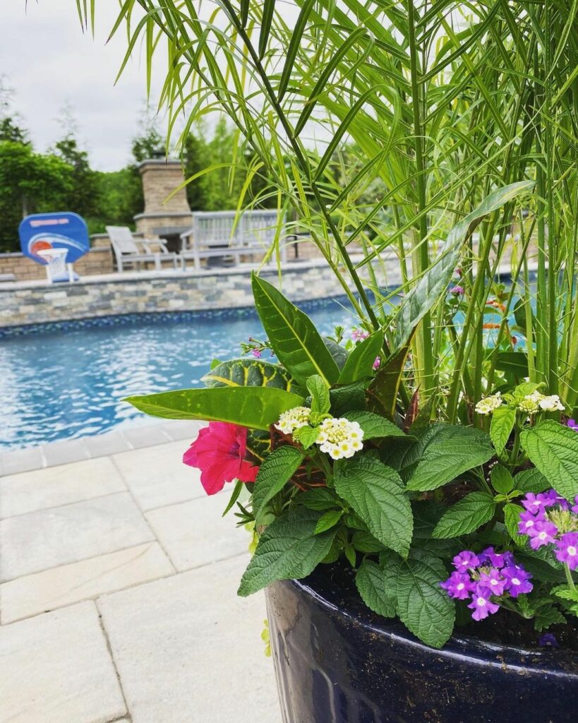 pool planter landscaping ideas