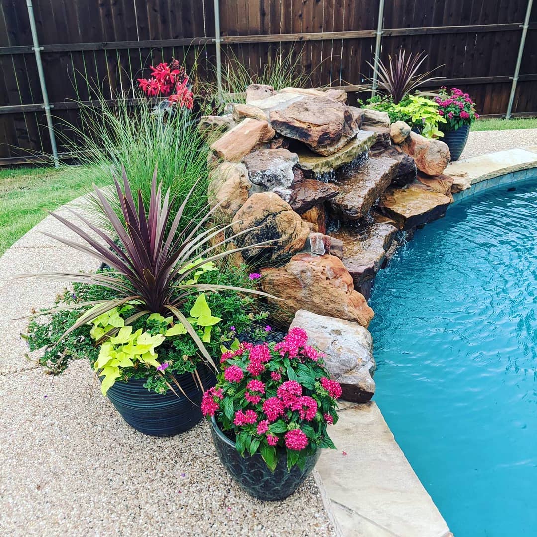 27+ Poolside Planter Ideas That Create Value in 2024 Houszed