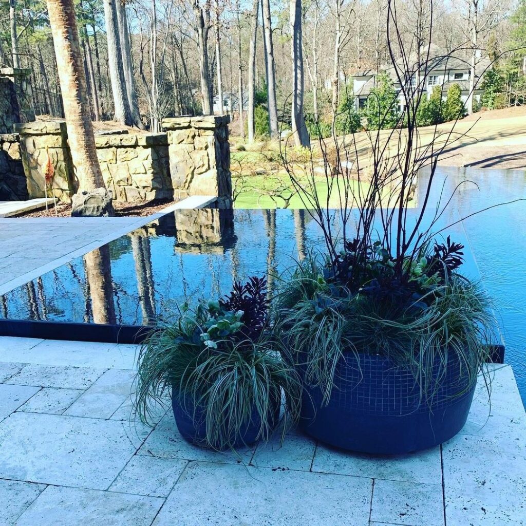 swimming pool planters