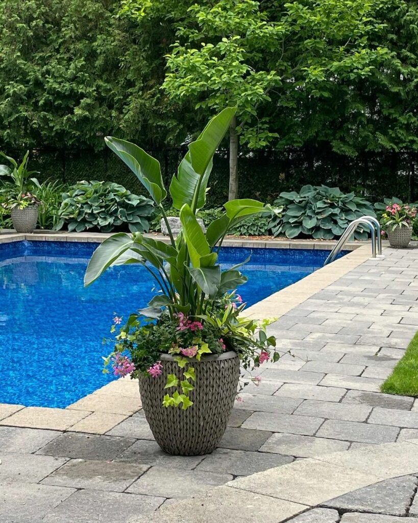 tall pool planters