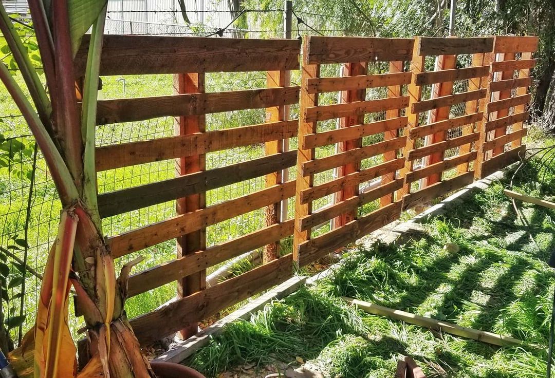 27+ Pallet Fence Ideas That Make You Think in 2024 Houszed