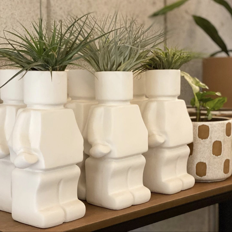 air plant hanging ideas