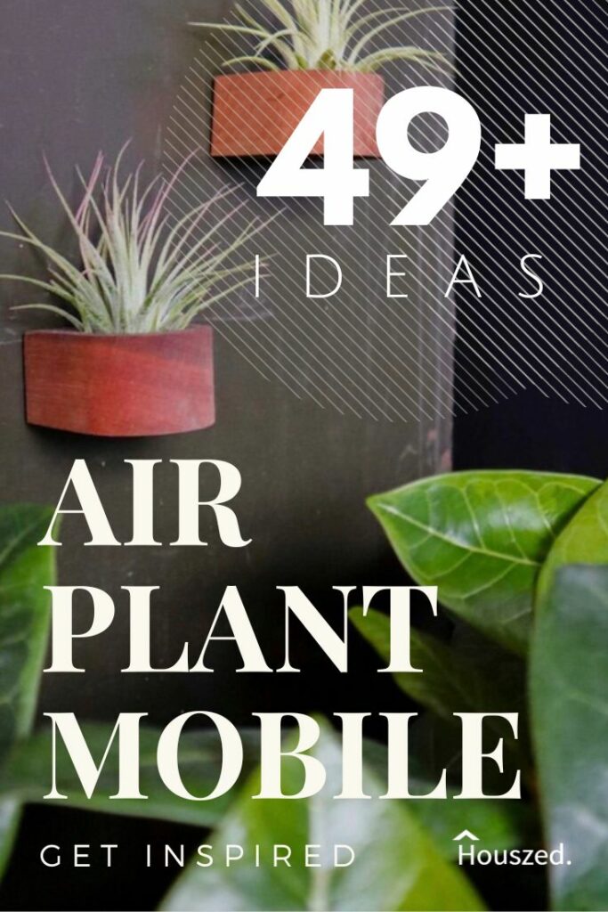 air plant mobile