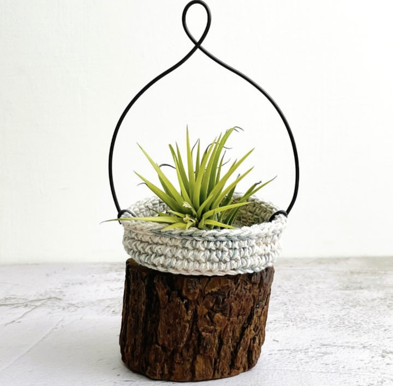 air plant mounting ideas