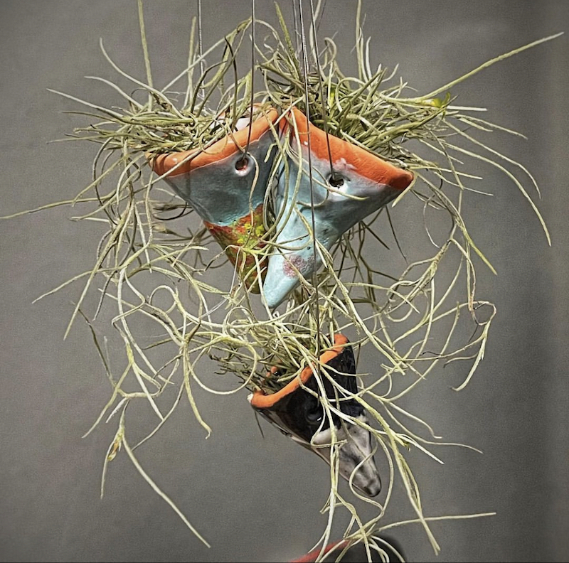 air plant wire