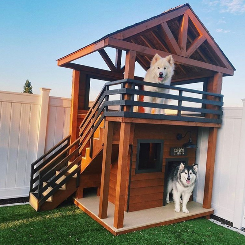 diy dog house build
