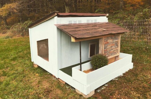 diy dog house ideas