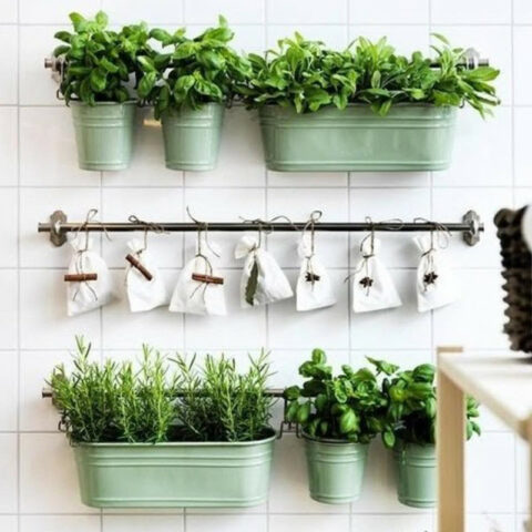diy herb garden