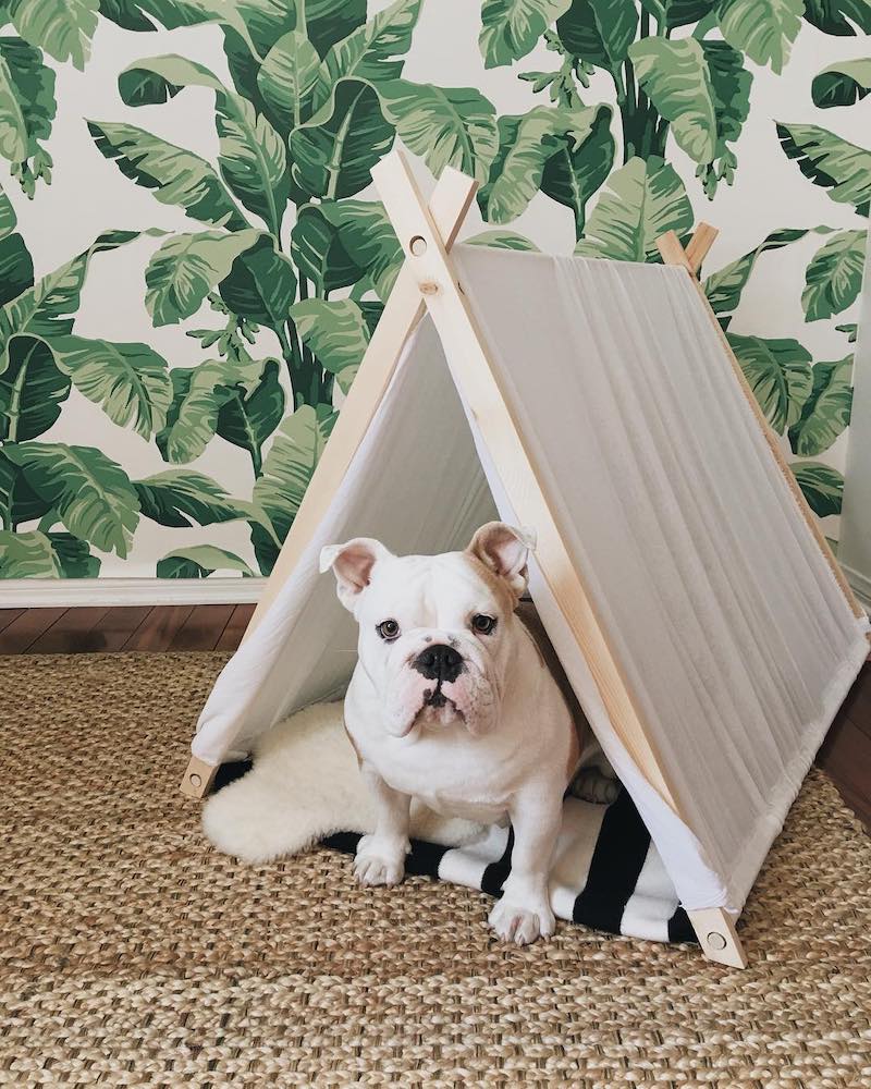 diy indoor dog house ideas