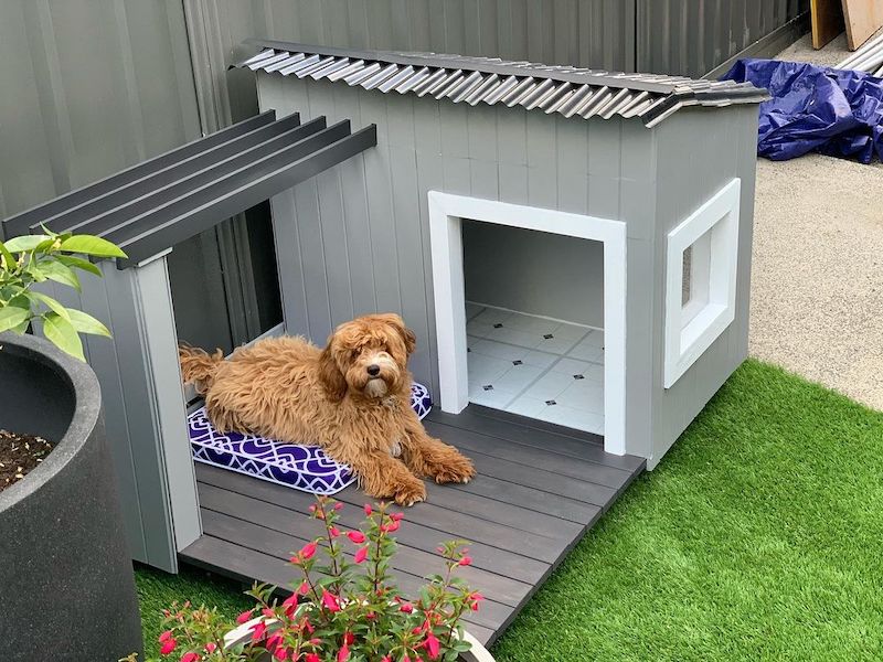 dog house design ideas