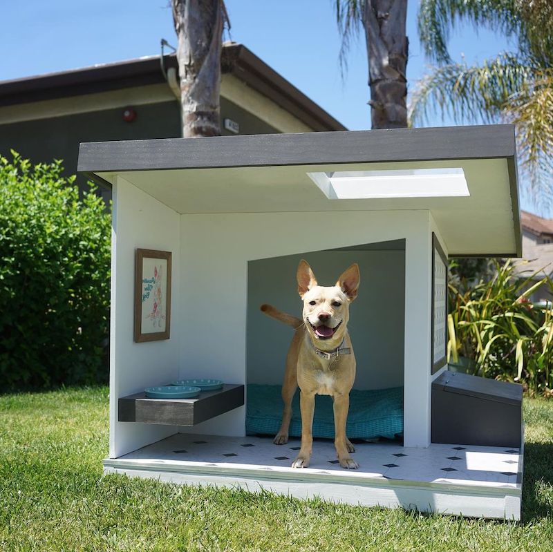 dog house design outdoor