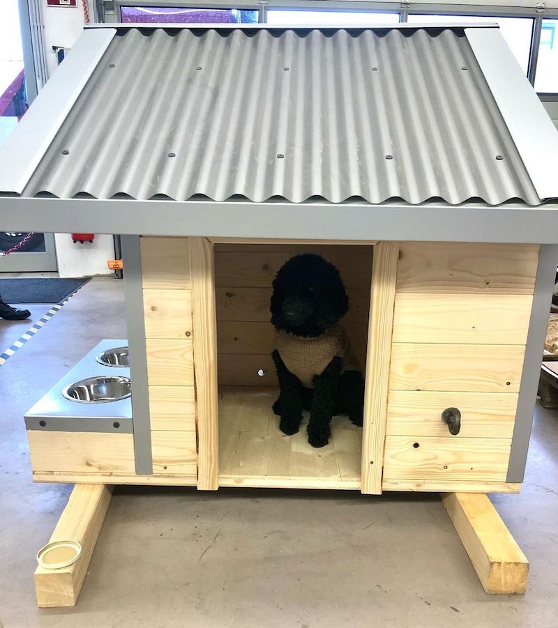 dog house design