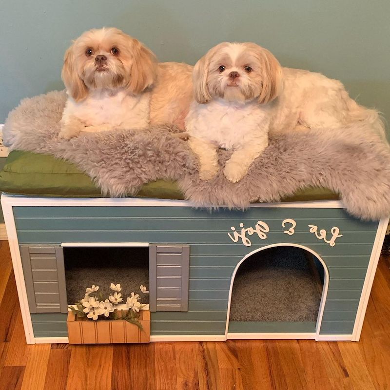 dog house diy indoor
