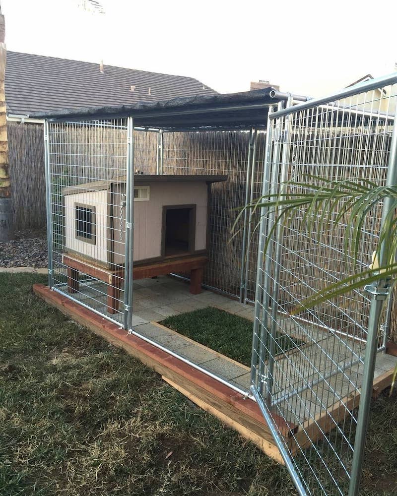 dog house ideas outdoor backyards