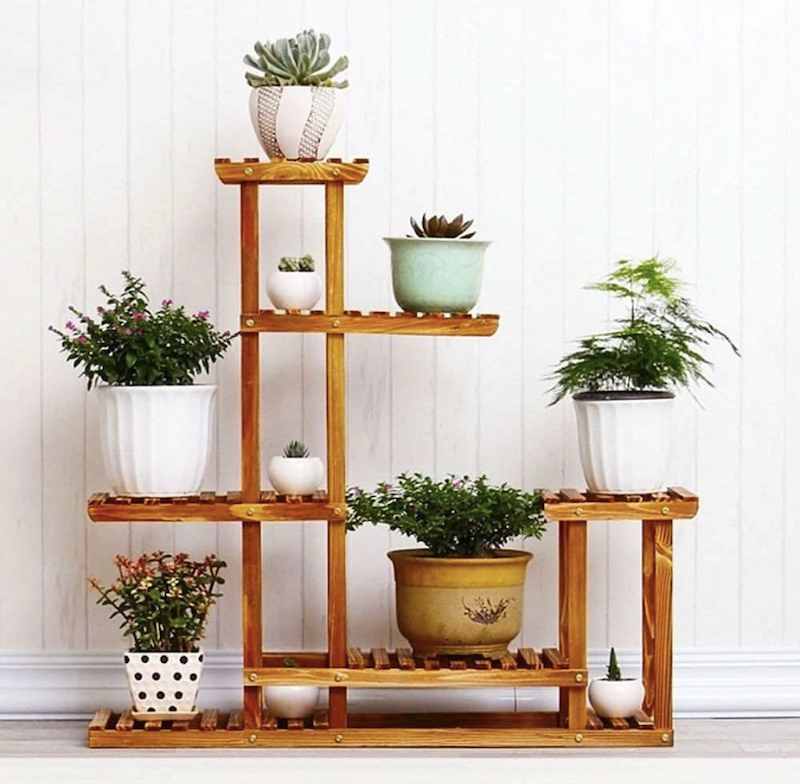 47+ Indoor Plant Displays That Bring the Outdoors inside in 2024