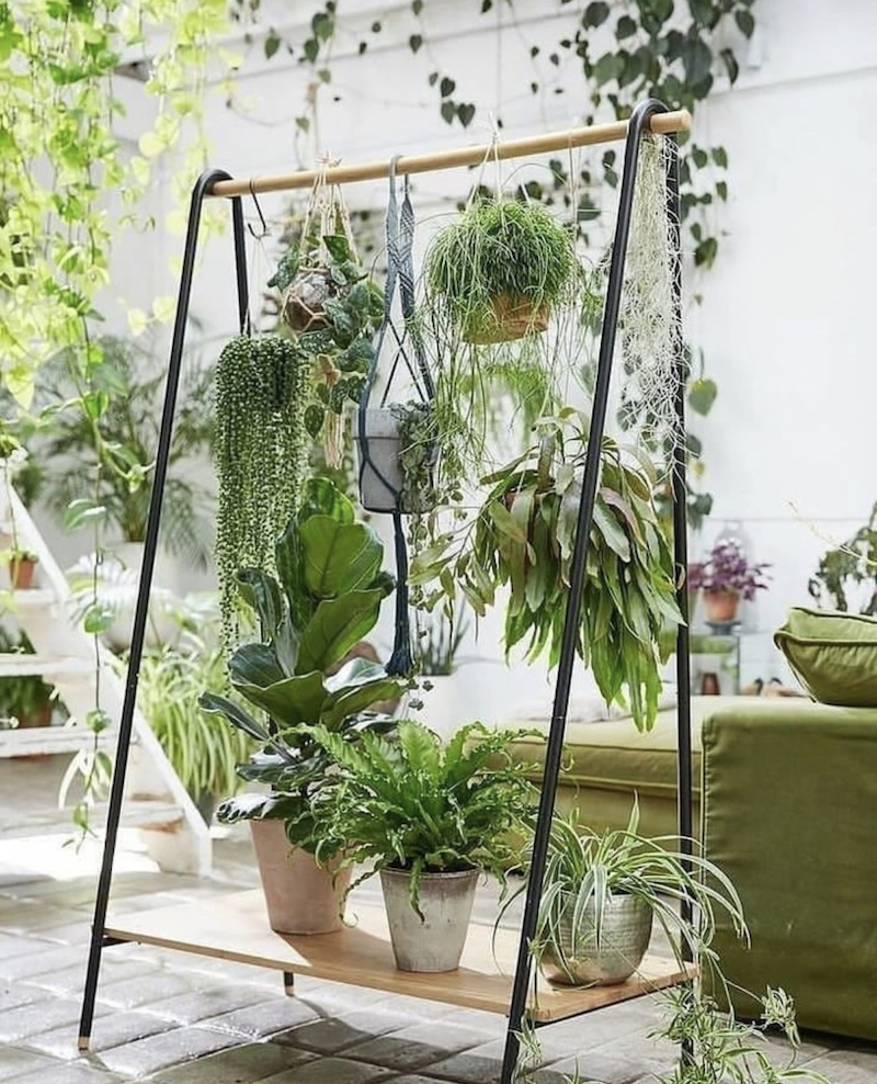 indoor wall mounted plant holders