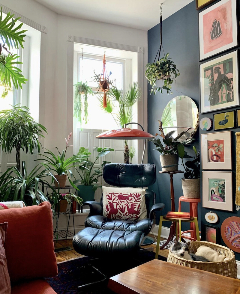 indoor window plant stands