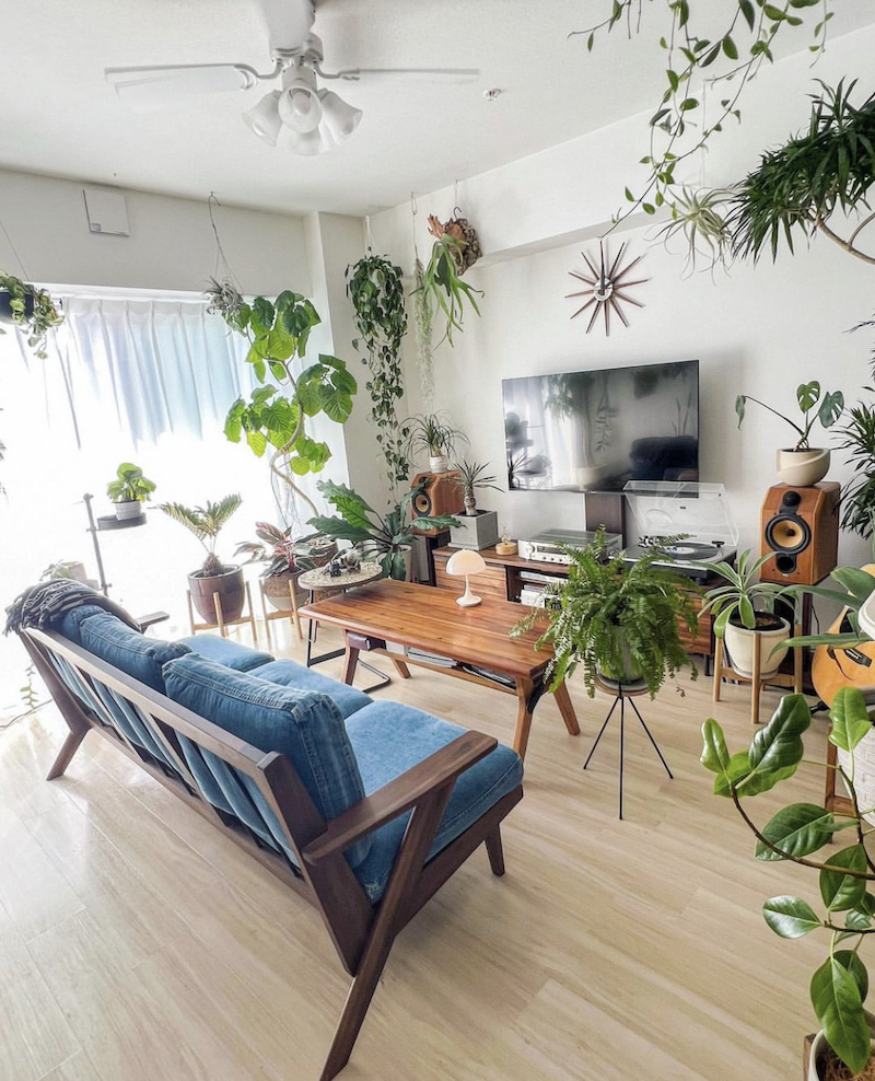 plant holders for indoors