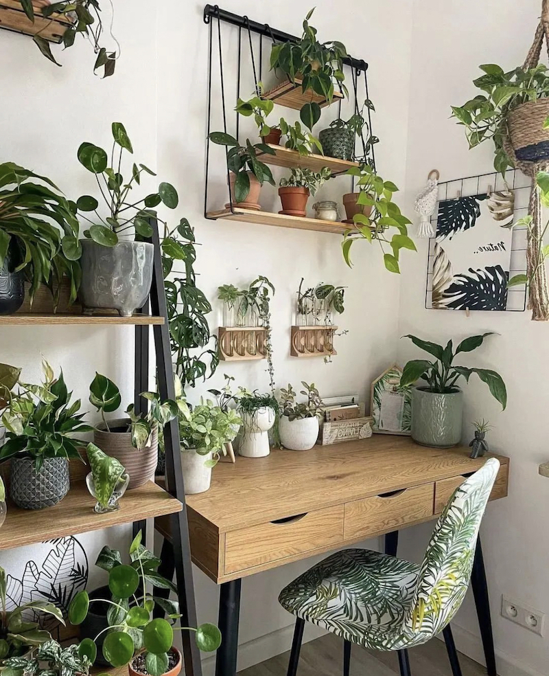 small plant shelf