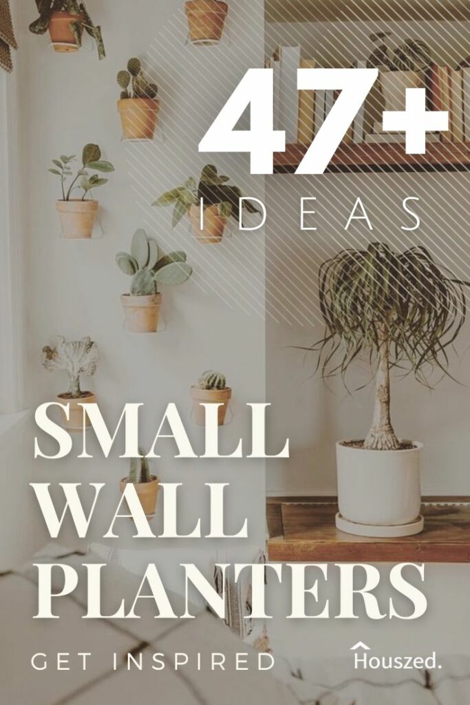 small wall planters
