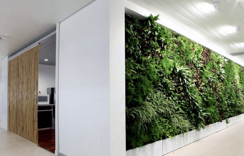 47+ Indoor Plant Displays That Bring the Outdoors inside in 2024