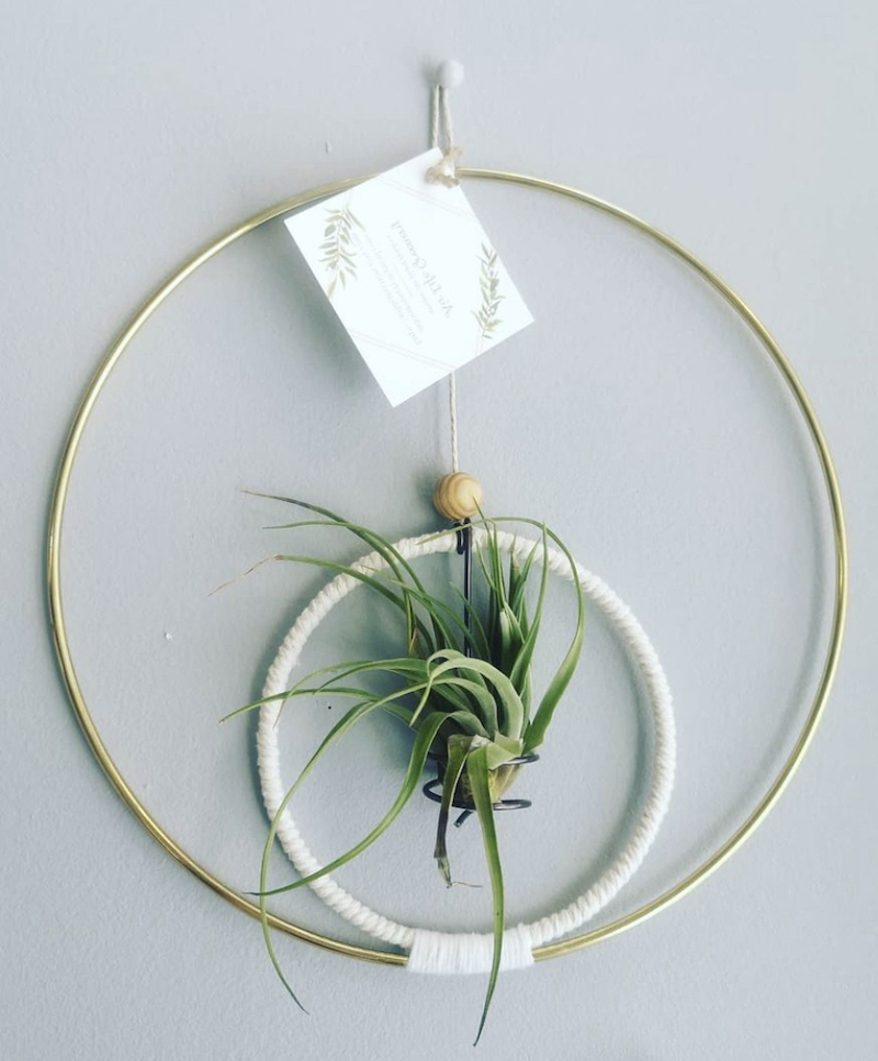 wire air plant holder