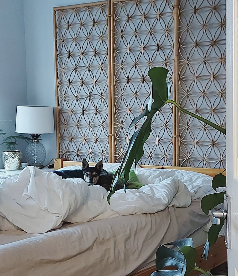 47+ Room Divider Headboard Ideas That Are Totally Unique in 2024