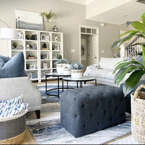 blue and grey living room ideas