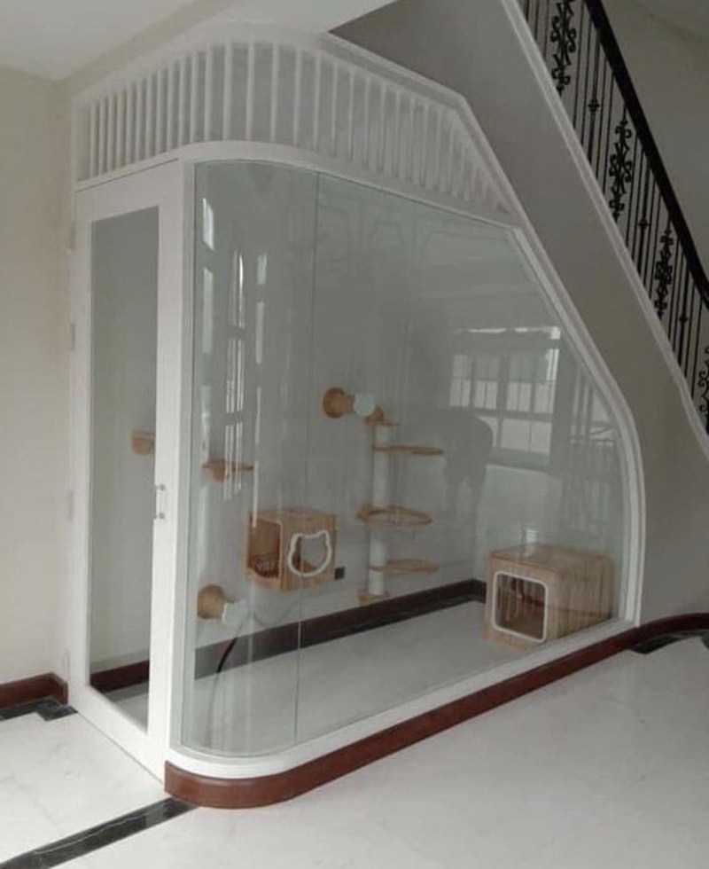 21+ Cat Room Ideas That Will Have You Purring in 2024 Houszed