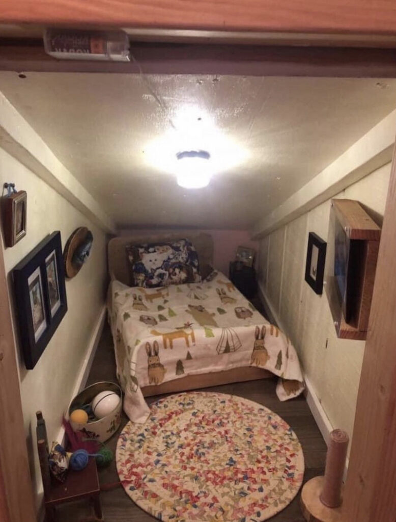 cool cat room ideas