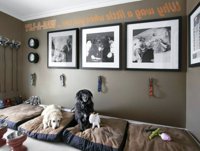 dog closet room ideas