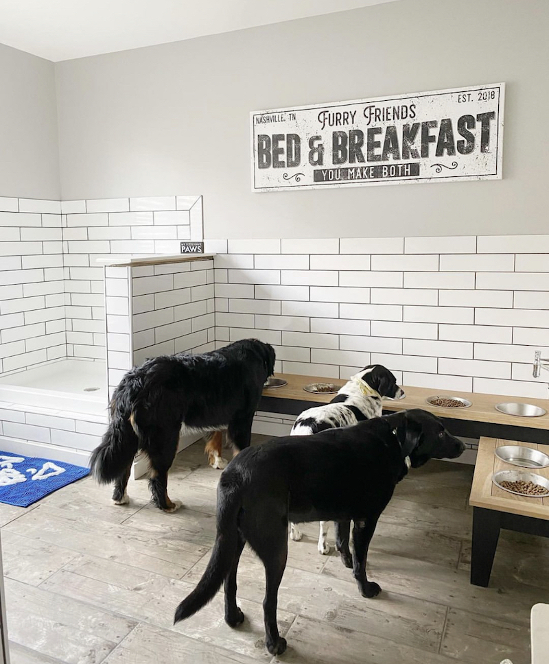 dog room decor ideas